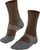 chestnut (5534)