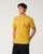 mustard gold (9717)