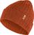 autumn leaf (215)