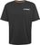 black (095A)