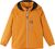 fruity orange (27A0)
