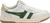 white/dark green/gold (WN)