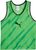 puma green-puma black-archive green (05)