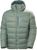 grey cactus (485)