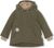 olive night (7675)