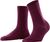 barolo (8596)