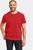 pomme red (463)