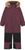 catawba grape (4953)