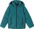 dark teal (7950)
