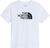 tnf white (FN4)