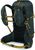 dark charcoal/tumbleweed yellow (1004)