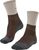 chestnut (5534)
