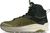 dusty olive (315)
