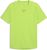 sunny lime (55)