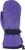 purple flower (4760)