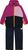 wild aster (6261)