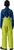 lime (LIM)