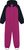 wild aster (6261)