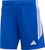 team royal blue-white (AD8R)