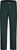 mountain pine (1226)