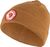 acorn (166)