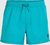 neon blue (15058)