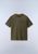 olive night g1f (G1F)