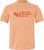 fresh apricot (24364)