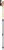 white-goldbrown