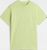 shadow lime (310)