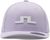 purple heather (Q024)