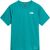 restorative teal (N5W)