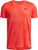 red - black (690)
