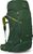 green canopy/matcha green (1075)