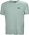 grey cactus (485)