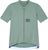 sage green (GSA)