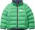 bright green (499)