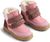 rose (2026)
