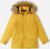 autumn yelllow (2580)
