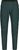 mountain pine (1226)