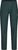 mountain pine (1226)