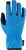 blue aster (5540)