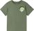 greyish green (8920)