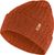 autumn leaf (215)