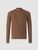 chestnut (M623)