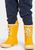 oat yellow (321)