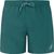 dark teal (586)