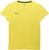 yellow blaze (05)