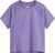 grounded plum light hea (Q16)