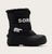 black sea salt (010)